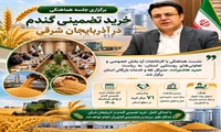 پیش‌بینی ۷۱ مرکز خرید تضمینی گندم در سطح استان  آذربایجان شرقی